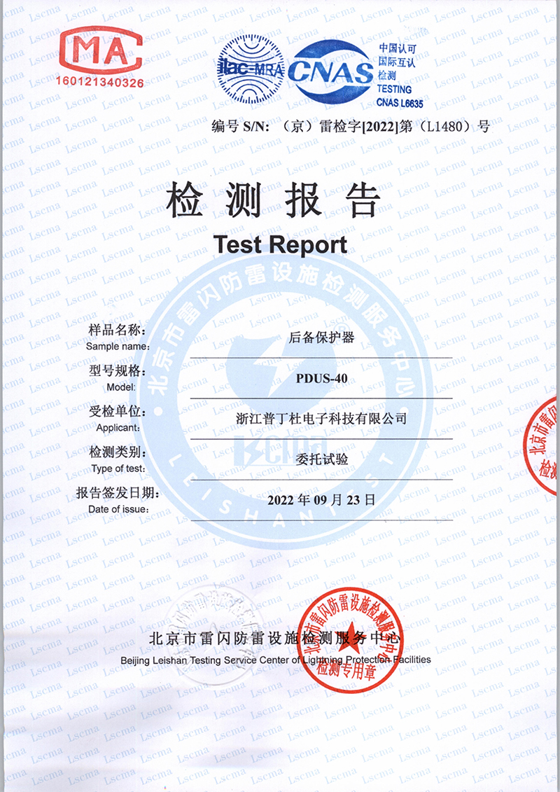 逐梦国际官方网站图片