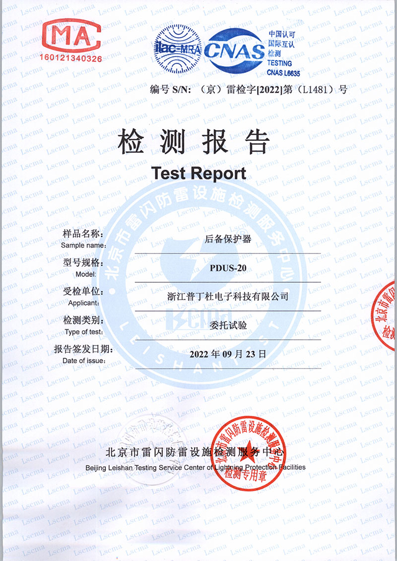 逐梦国际官方网站图片